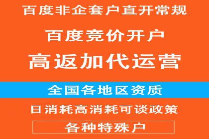 百度推广平台：从零到一的营销策略案例